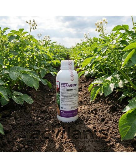 Coragen 1L insecticid sistemic contra Omida, Gandacul de Colorado, Molie, Vierme, Alege ambalajul dorit: Coragen 1Litru, 3 image