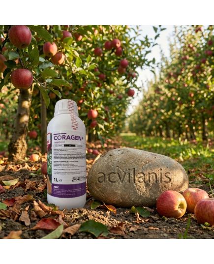 Coragen 1L insecticid sistemic contra Omida, Gandacul de Colorado, Molie, Vierme, Alege ambalajul dorit: Coragen 1Litru, 2 image