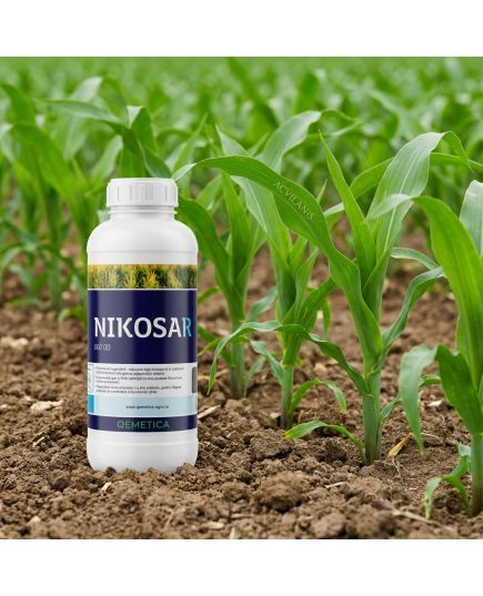 Nikosar 060Od 1L erbicid cu nicosulfuron contra frunzei late in porumb, Alege ambalajul dorit: 1 litru, 2 image
