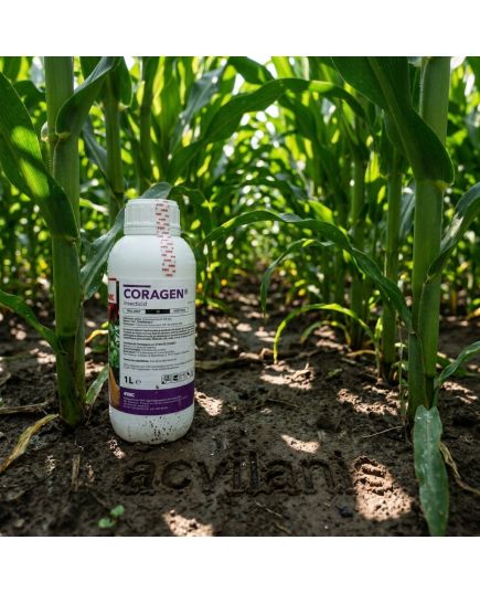 Coragen 1L insecticid sistemic contra Omida, Gandacul de Colorado, Molie, Vierme, Alege ambalajul dorit: Coragen 1Litru, 5 image