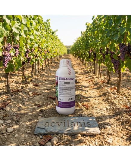 Coragen 1L insecticid sistemic contra Omida, Gandacul de Colorado, Molie, Vierme, Alege ambalajul dorit: Coragen 1Litru, 6 image