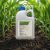 Principal Forte 2400g + Vivolt 2.5L - erbicid complet pentru postemergenta la porumb 5Hectare, Alege ambalajul dorit: 5 hectare