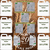 Pixxaro Super Plus Extra 16-20ha pachet tehnologic cereale foliar și tratament fungic inclus, Alege ambalajul dorit: Pixxaro+Foliar+Fungicid