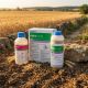Pallas 75WG 500 g + Adjuvant 1 litru, pachet 2 HA, 2 image