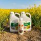 Pachet Rapita Tilmor 240EC(10L)  + Decis Expert(1L) 10HA, Alege ambalajul dorit: 10Hectare, 6 image