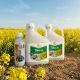 Pachet Rapita Tilmor 240EC(10L)  + Decis Expert(1L) 10HA, Alege ambalajul dorit: 10Hectare