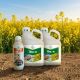 Pachet Rapita Tilmor 240EC(10L)  + Decis Expert(1L) 10HA, Alege ambalajul dorit: 10Hectare, 4 image
