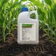 Principal Forte 2400g + Vivolt 2.5L - erbicid complet pentru postemergenta la porumb 5Hectare, Alege ambalajul dorit: 5 hectare