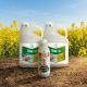 Pachet Rapita Tilmor 240EC(10L)  + Decis Expert(1L) 10HA, Alege ambalajul dorit: 10Hectare, 5 image