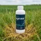 AGROSAR 360SL (1 L) Glifosat: Erbicid Total Sistemic Desicare Grâu Rapiță & Control Buruieni Miriști/Terenuri, Alege ambalajul dorit: 1 litru