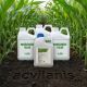 Pachet Principal Forte 2400g + Vivolt 2.5L + Foliar 15Litri - erbicid complet pentru postemergenta la porumb 5Hectare