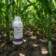 Coragen 1L insecticid sistemic contra Omida, Gandacul de Colorado, Molie, Vierme, Alege ambalajul dorit: Coragen 1Litru, 5 image