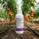 Coragen 1L insecticid sistemic contra Omida, Gandacul de Colorado, Molie, Vierme, Alege ambalajul dorit: Coragen 1Litru